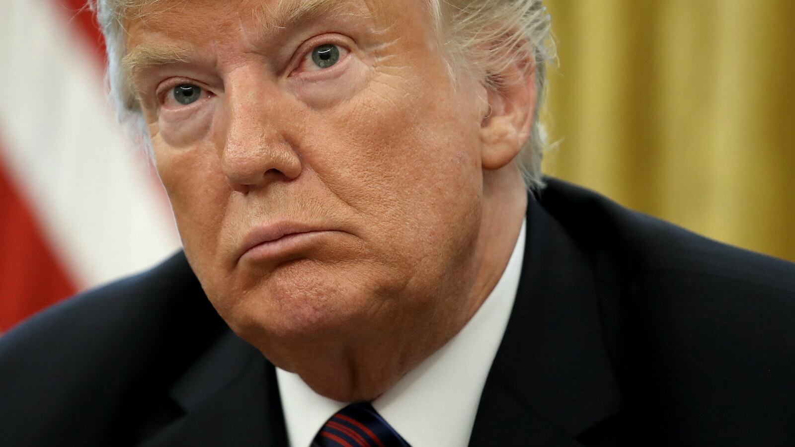 trumpwwwewrwer_vtmp6t