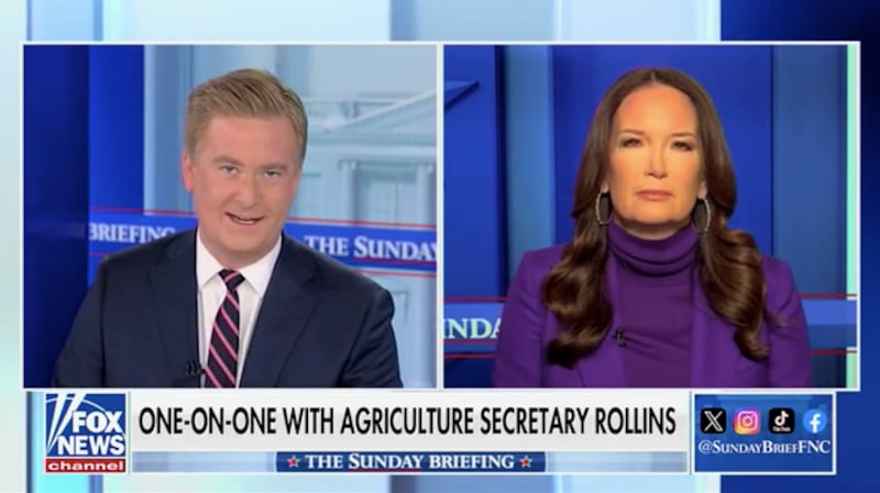 Brooke Rollins on Sunday Briefing with Peter Doocy