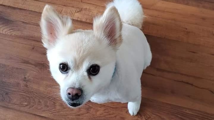 292072268_10127758713093334_6506228297560254378_n_ajp5fe