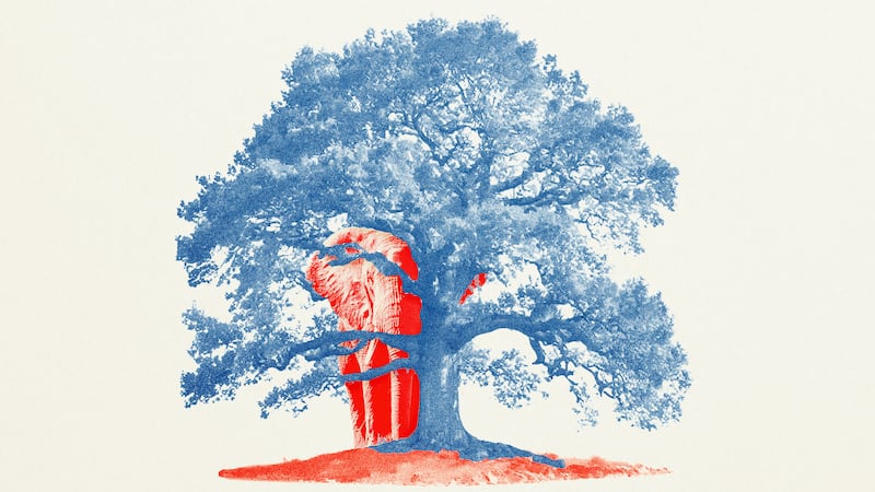 A red elephant hiding behind a blue tree