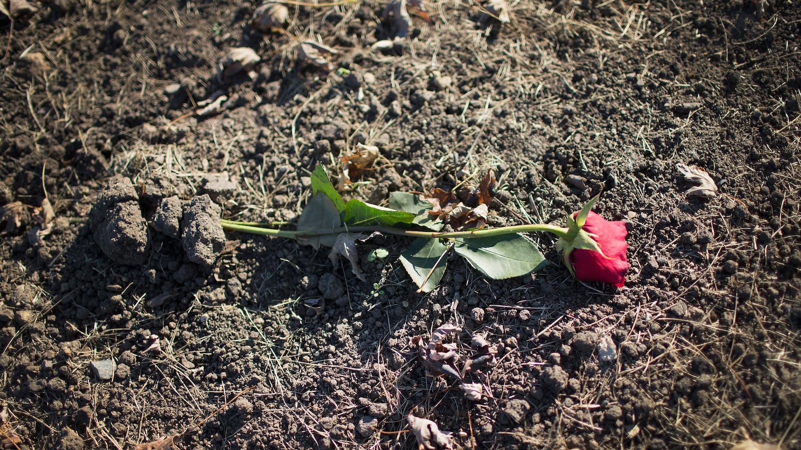 GettyImages-495680992_psywyp