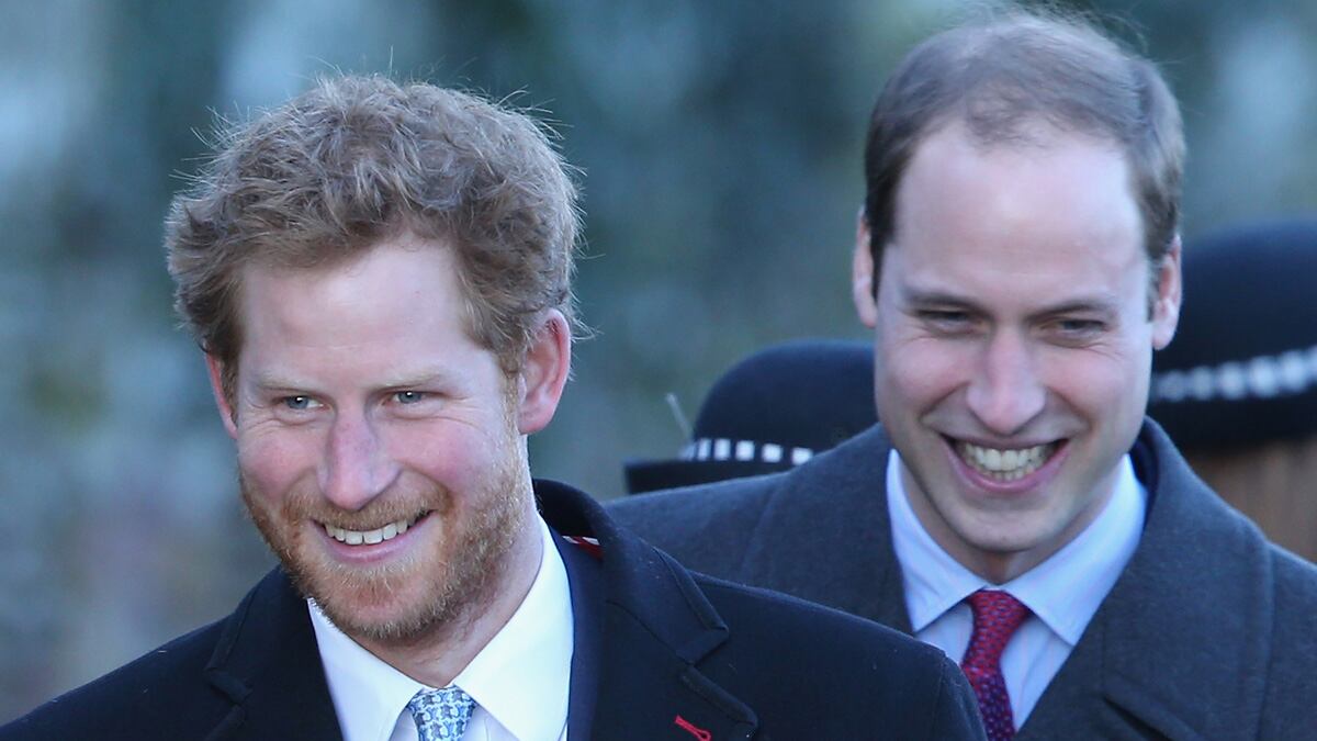 articles/2014/01/06/prince-harry-may-move-pads/harry-beard-tease_xemv2m