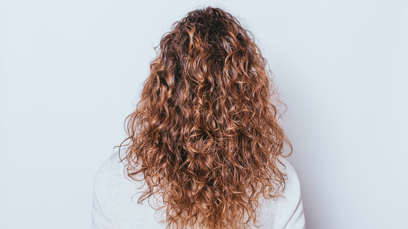 Rear view woman's head with beautiful long naturally curly hair on white background.