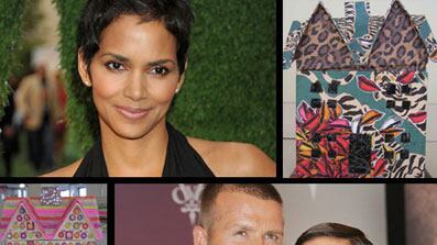 articles/2009/11/05/celebrity-dream-houses/celeb-houses_iws5cb