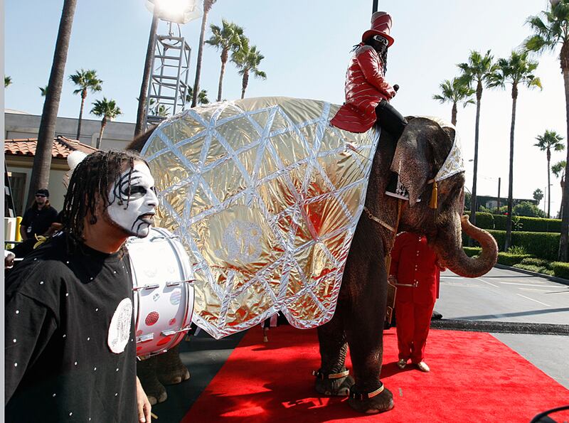 galleries/2011/05/20/animal-red-carpet/animal-red-carpet---t-pain_vylpwc