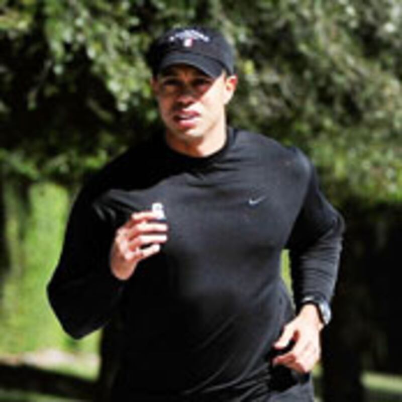 articles/2010/02/18/the-tiger-trap/bernstein-tiger_82834_ajoftu