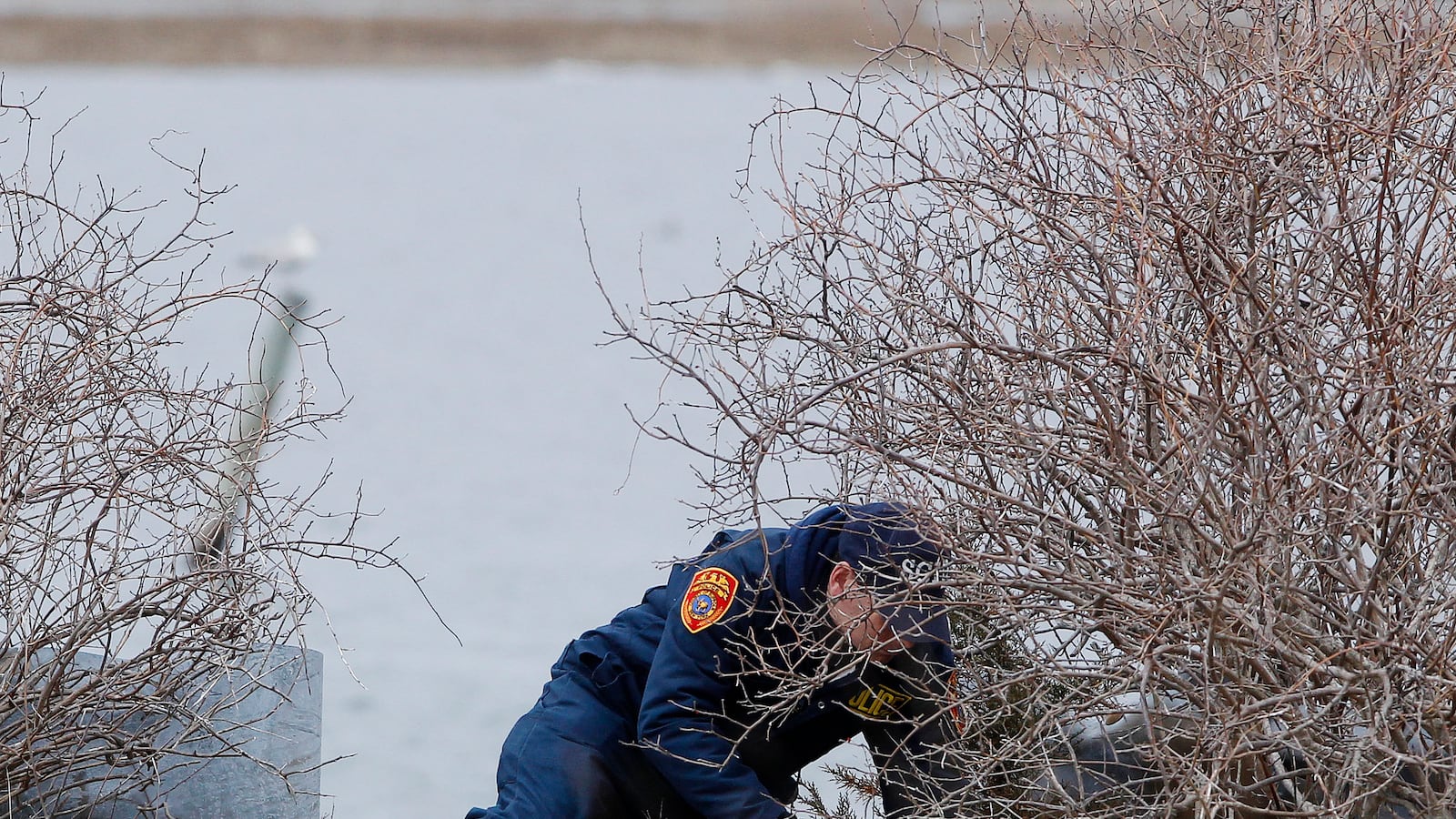 A member of the Suffolk County police search team looks through a brush area for remains of bodies slain by a possible serial killer near the beach area of Oak Beach, New York, April 7, 2011.
