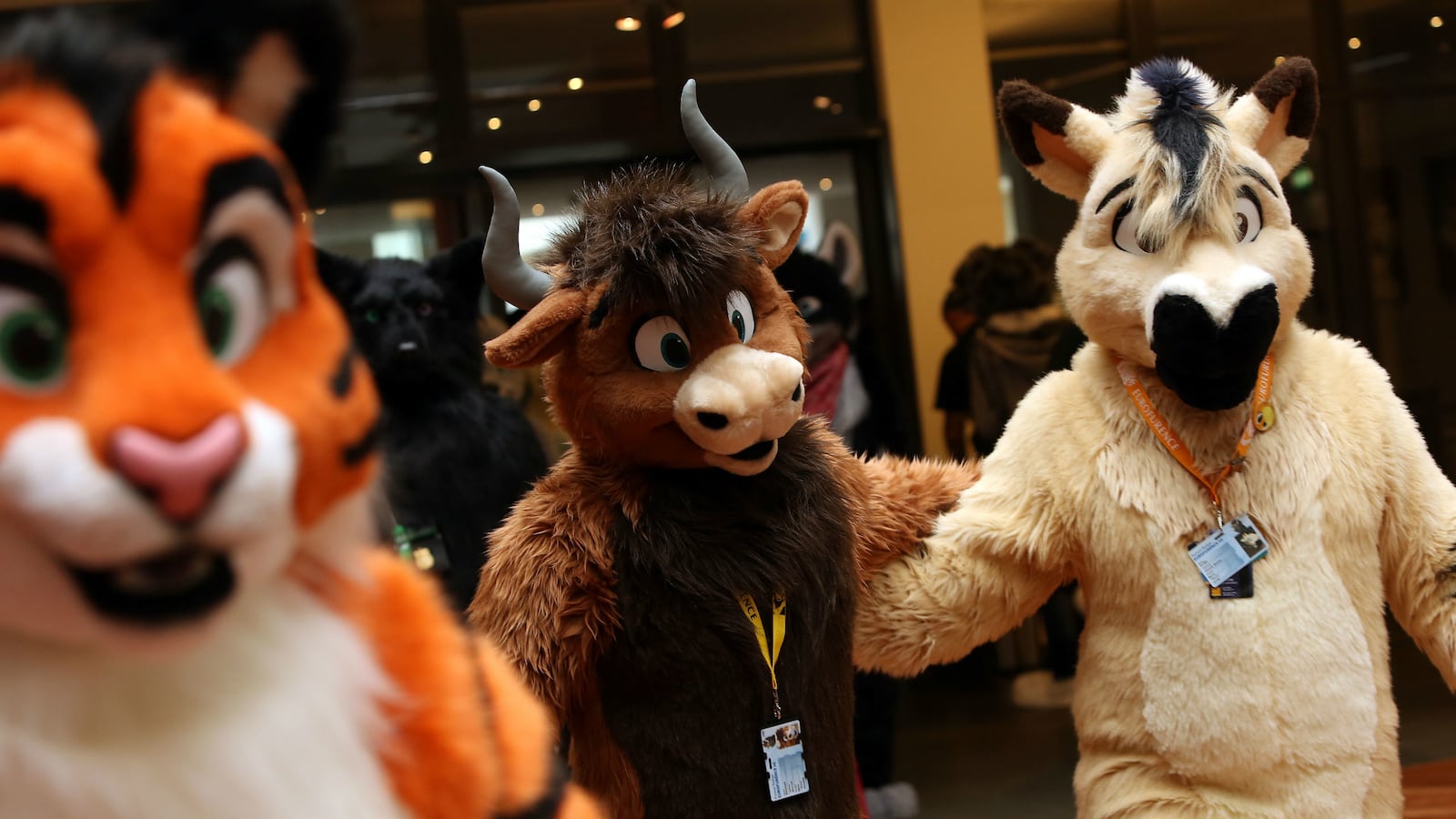 cheats/2014/12/07/gas-leak-disrupts-furries-convention/141207-furries-gasleak_ondulj