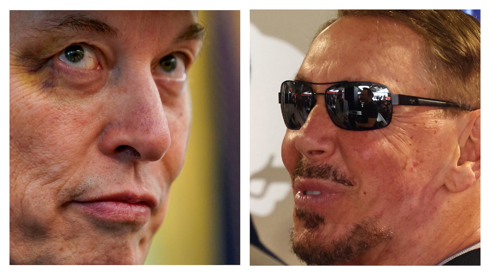 Elon Musk and Larry Ellison