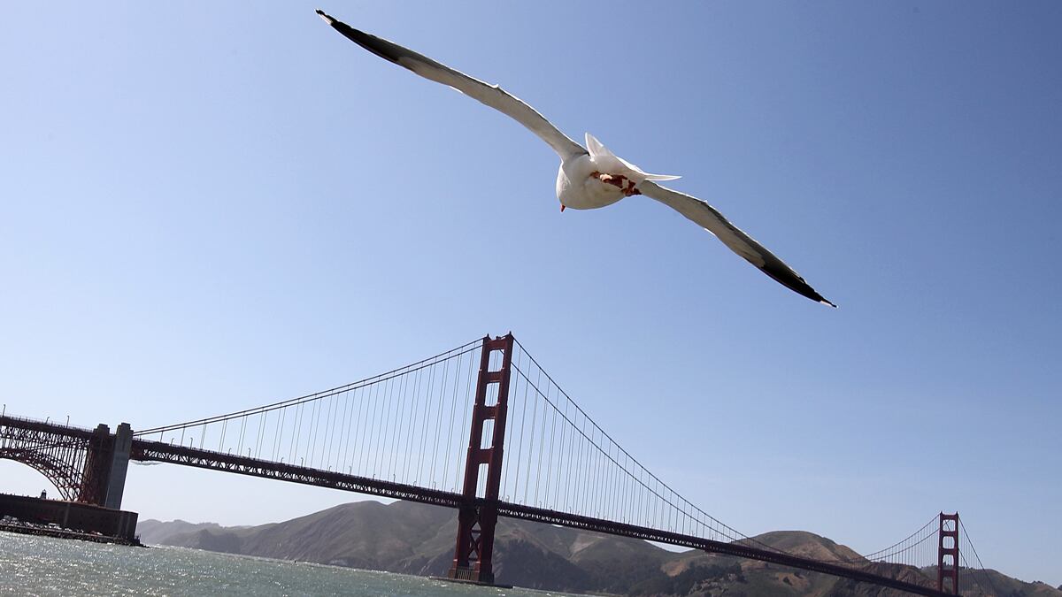 cheats/2012/10/13/bachelor-party-saved-as-ship-goes-down/san-fran-rescue-party-boat-cheat_qrh3oi