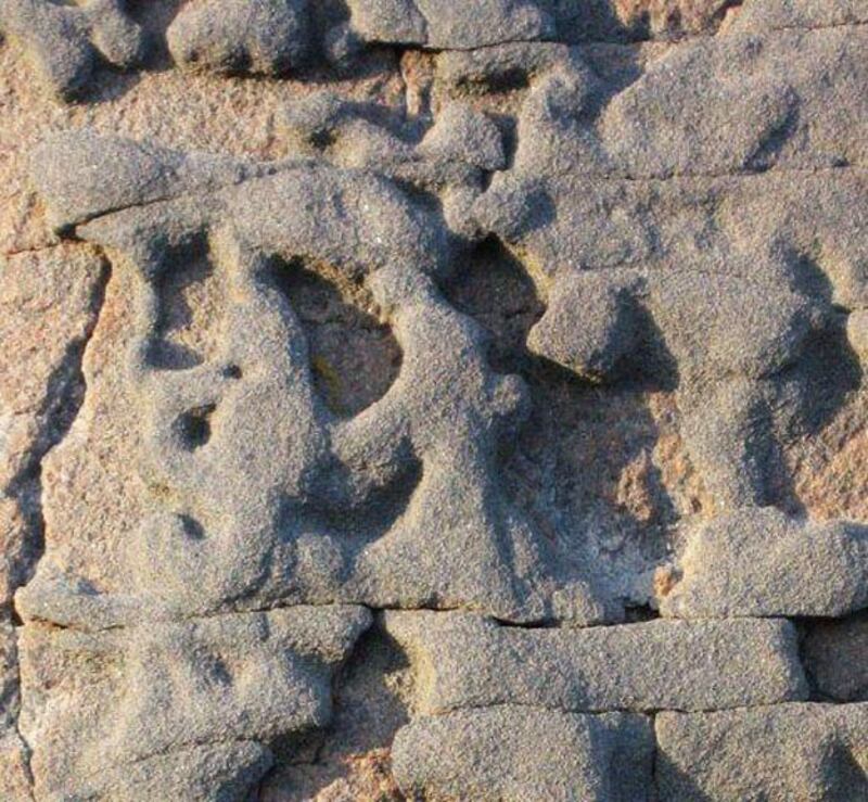 galleries/2010/06/14/summer-food-norway/summer-food-series-1---16_x5vezt