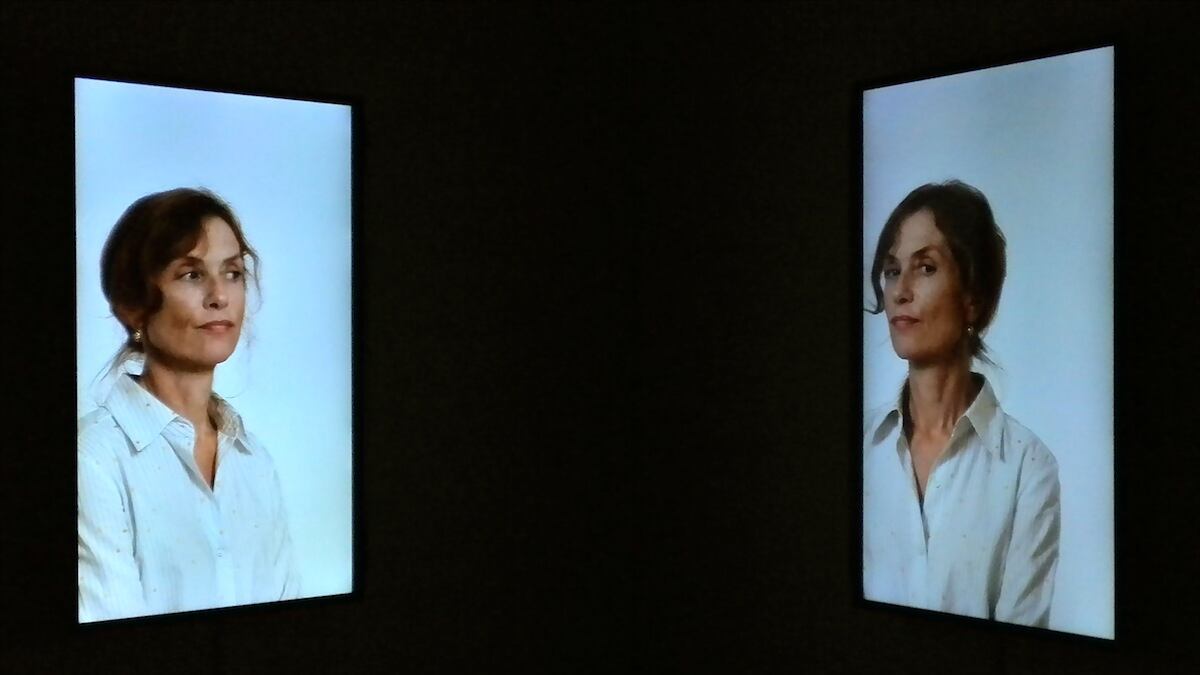 articles/2012/09/12/isabelle-huppert-portrait-by-gary-hill-is-the-daily-pic-by-blake-gopnik/hill-daily-pic_qmfigi