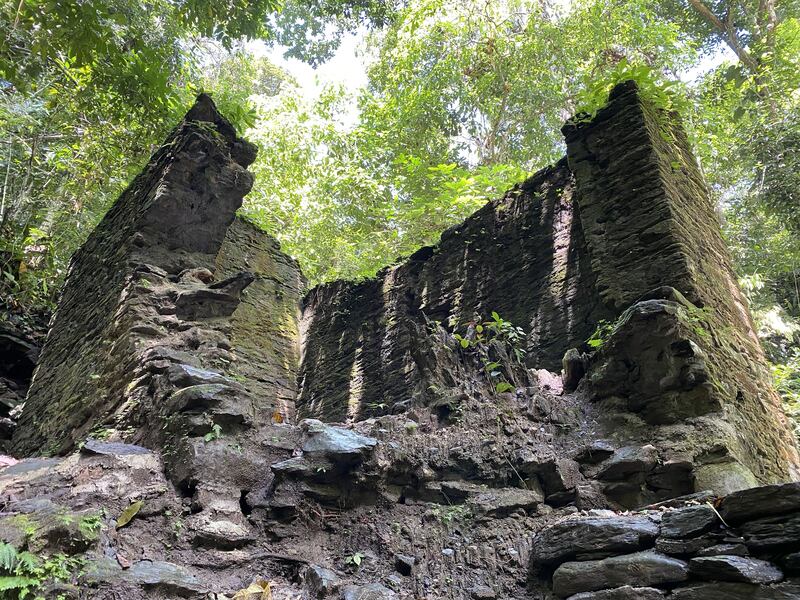 211029-Brooklyn-Falan2-embed-01_lverdf