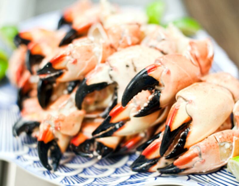 articles/2010/10/13/stone-crab-season-opens-friday-october-15/powers-stone-crab_133578_r6sb6k