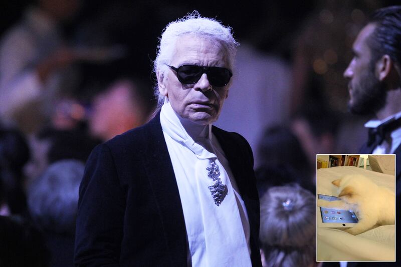 articles/2012/06/07/7-facts-to-know-about-karl-lagerfeld-s-siamese-cat-choupette/karl-lagerfeld-cat-wilkinson_renrgk