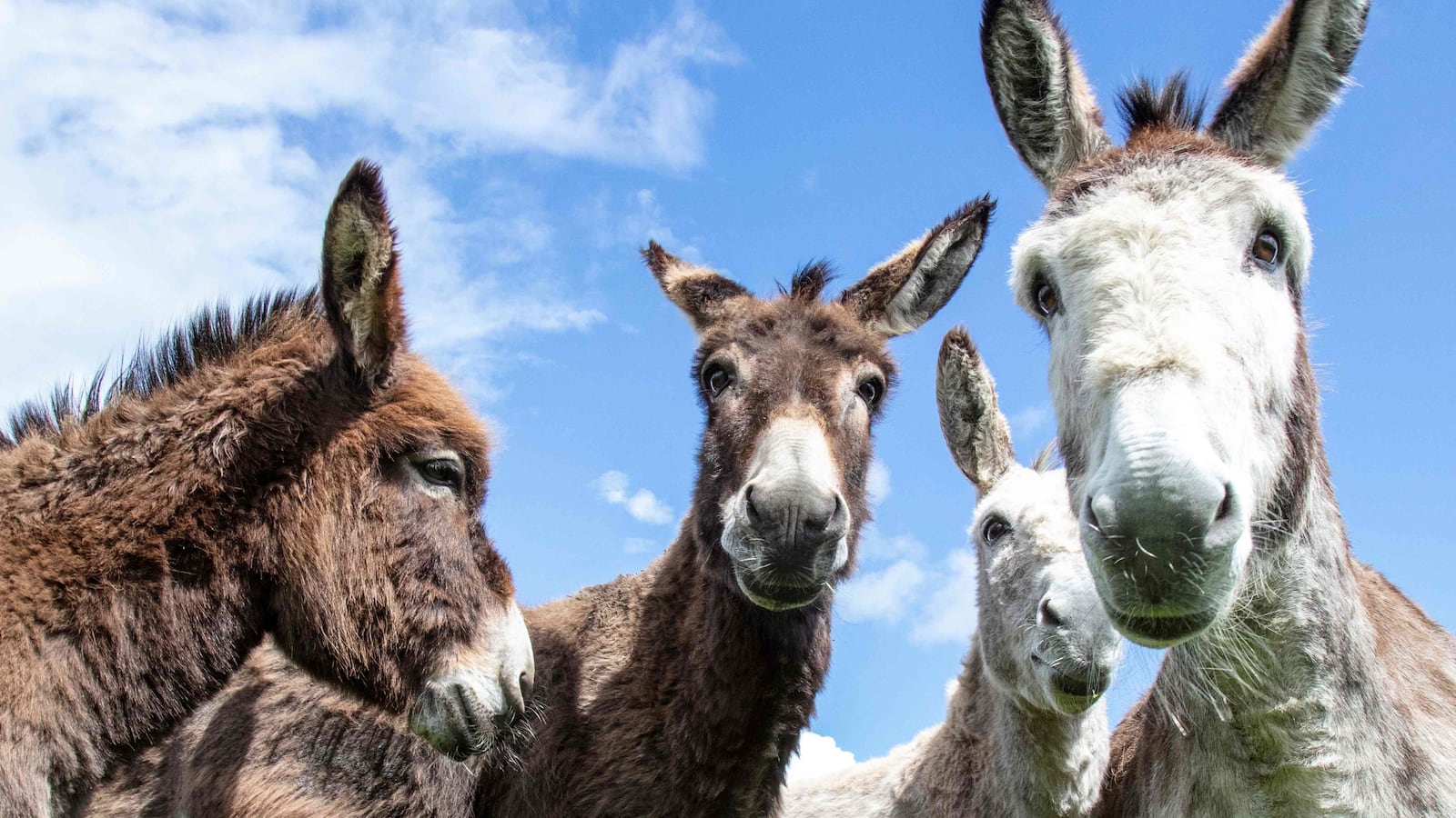 GettyImages-1217776805_w7ojtk