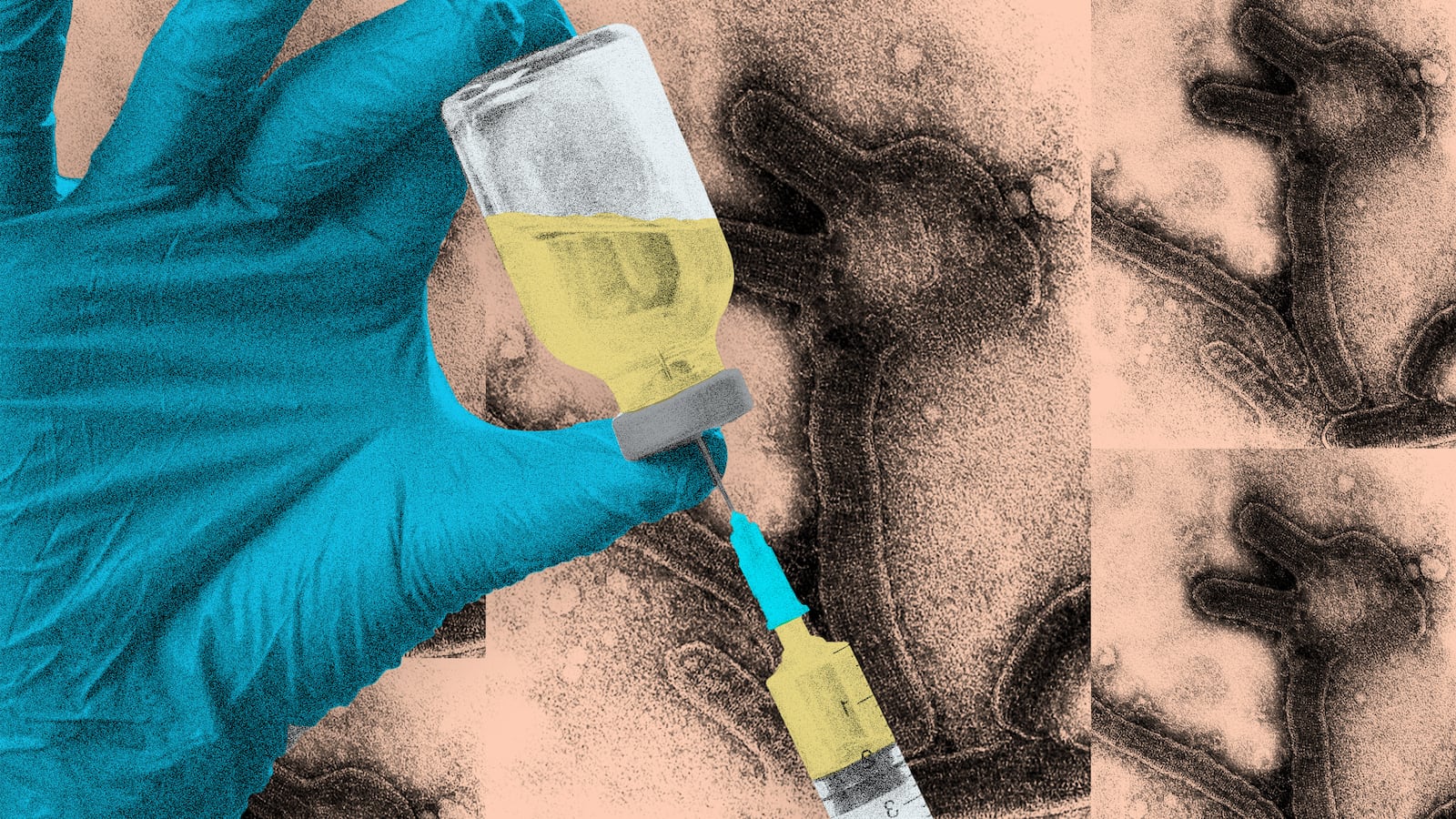 230407-marburg-virus-hero_jcwtai