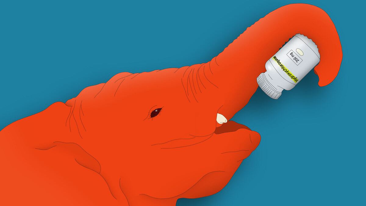 200802-sommer-republican-hydroxycholorquine-hero_robncc