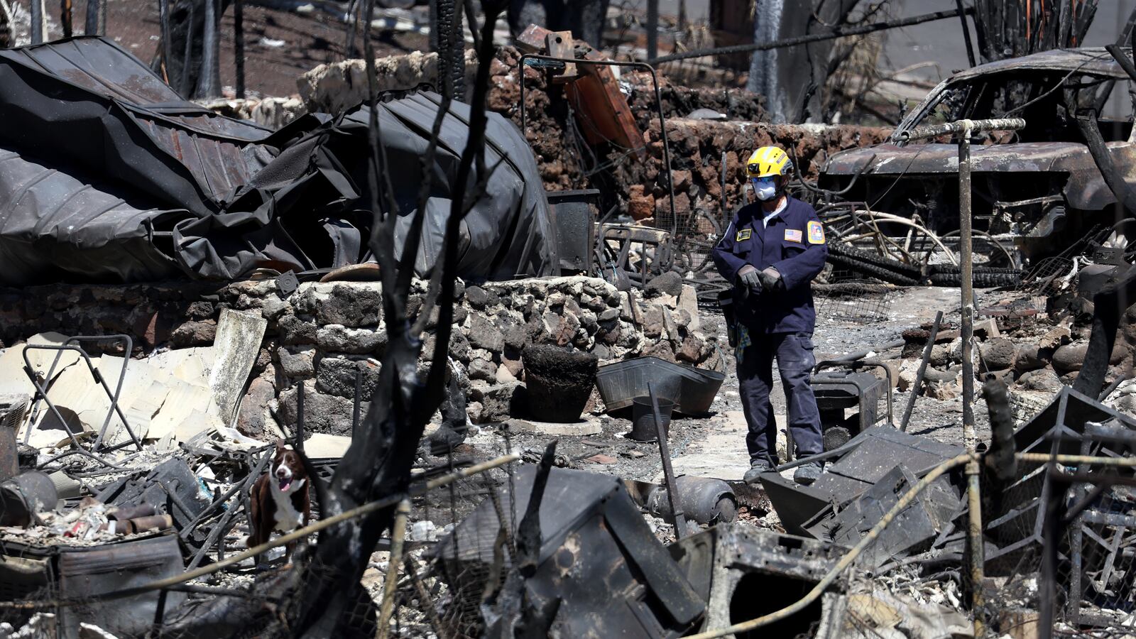 Devastation after the Maui wildfires.