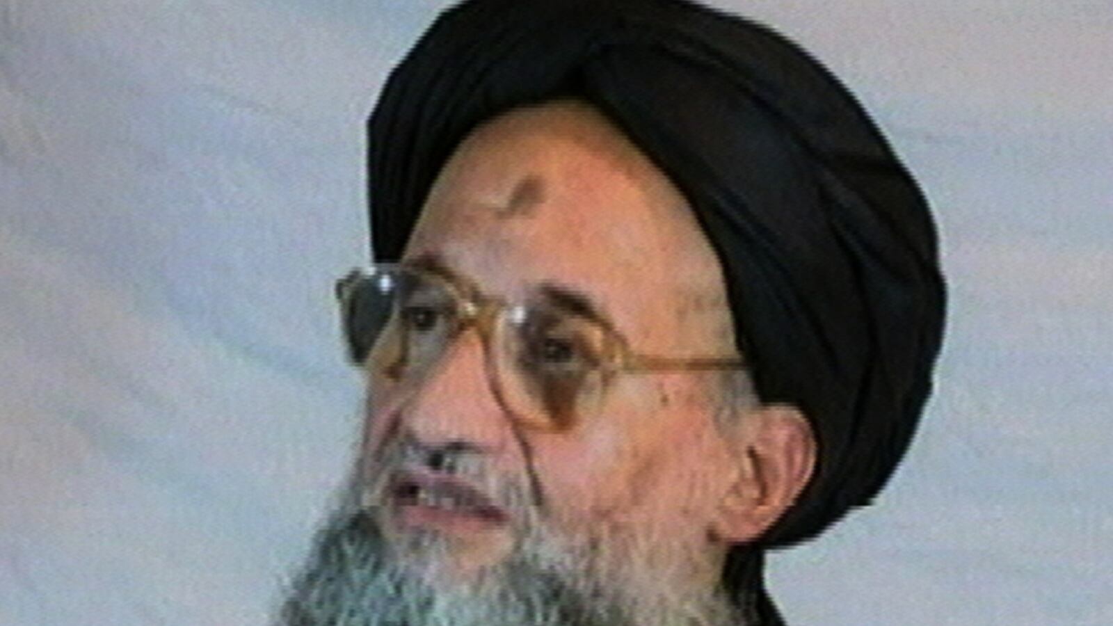 cheats/2012/02/12/al-qaeda-backs-syrian-revolt/ayman-al-zawahri-cheat_t0xdax