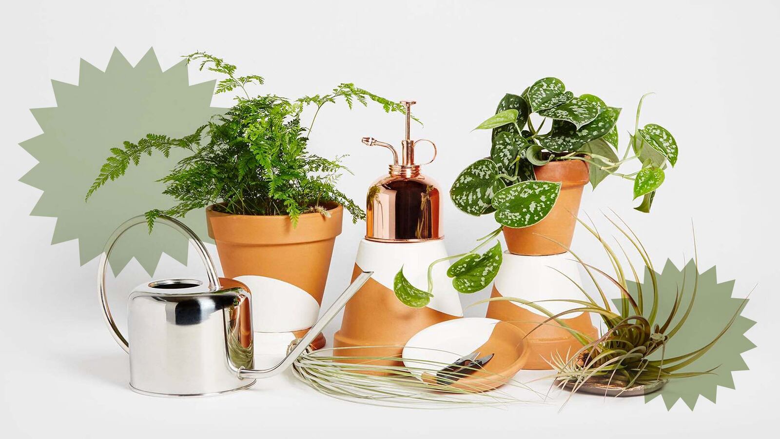 Horti plant delivery 2022