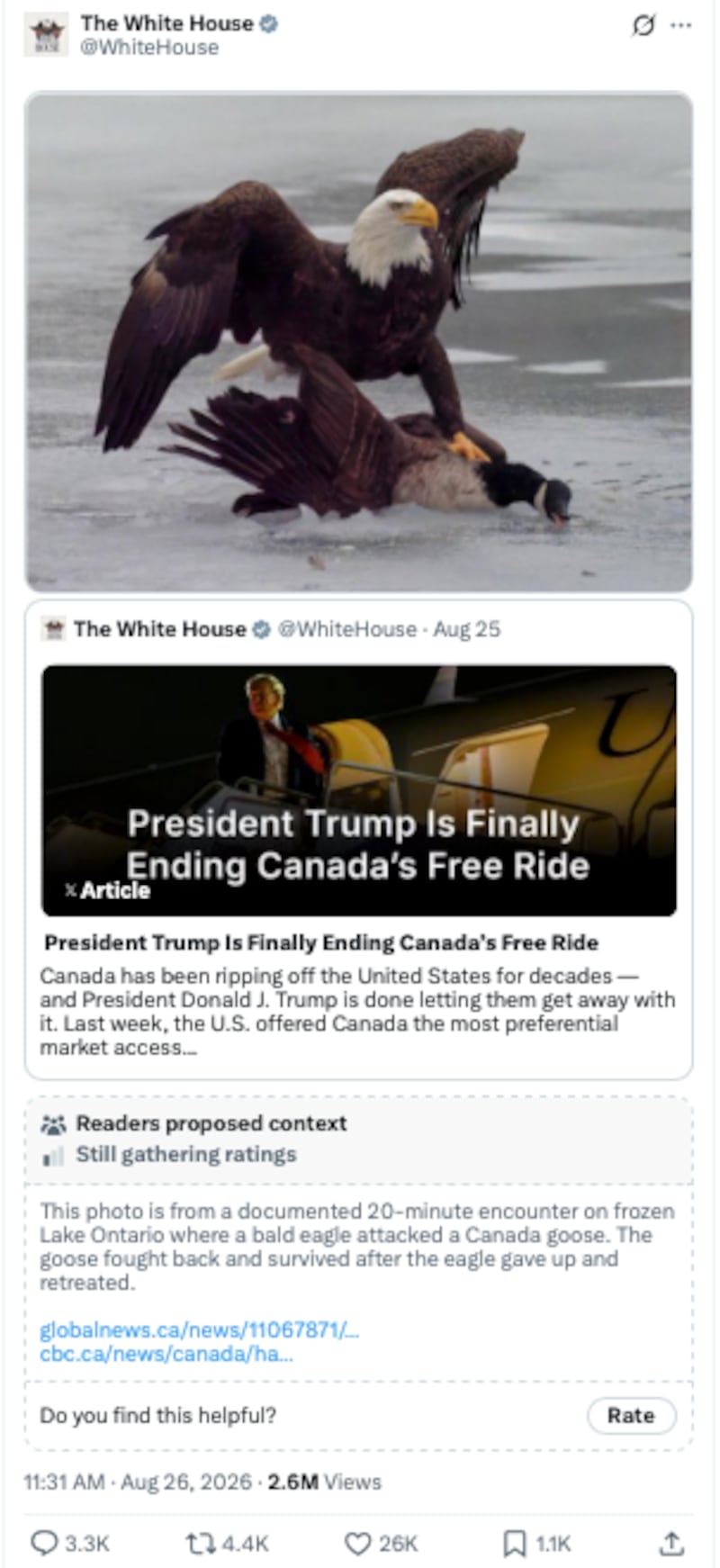 X users provided context to the White House's photograph, noting that the goose survived after the eagle "gave up and retreated."