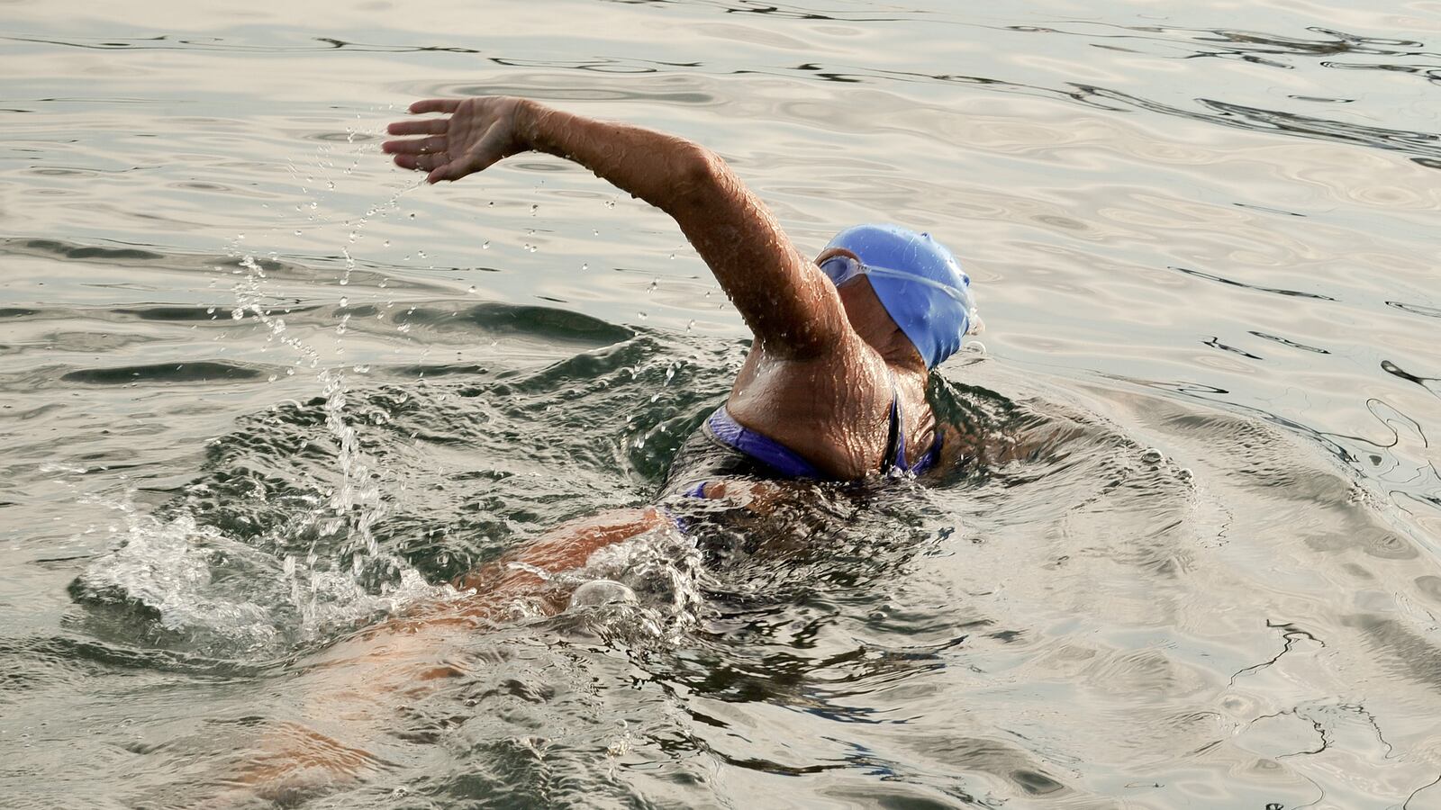 cheats/2013/10/05/diana-nyad-to-swim-48-hours-for-sandy-relief/131005-nyad-cheat_dcefth