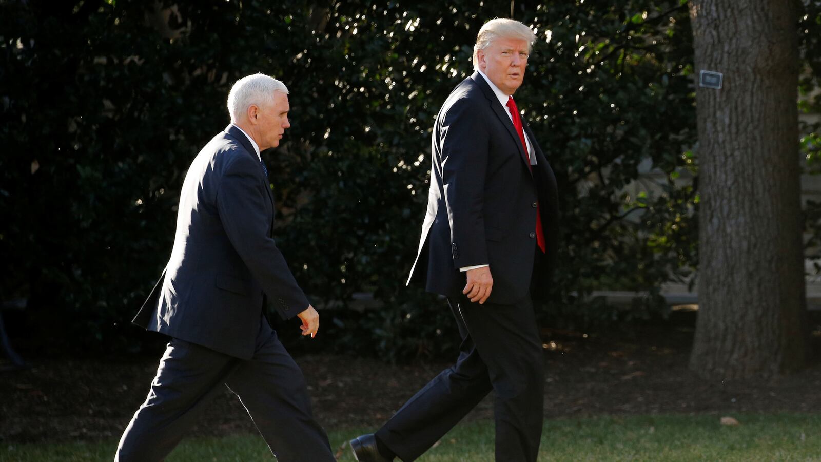 cheats/2017/01/25/trump-cites-random-story-as-voter-fraud/170125-trump-golfer-cheat_xruf6w