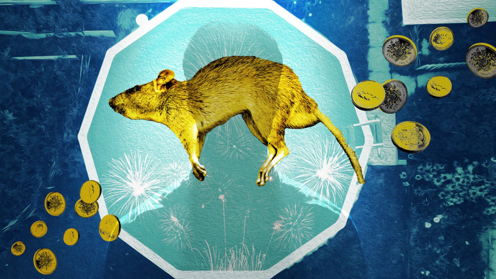 An illustration including photos of a rat, collection of coins, a male silhouette and a backyard pool