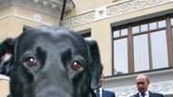 cheats/2008/10/18/putinrsquos-dog-is-the-new-laika/putin-dog_dp0upe