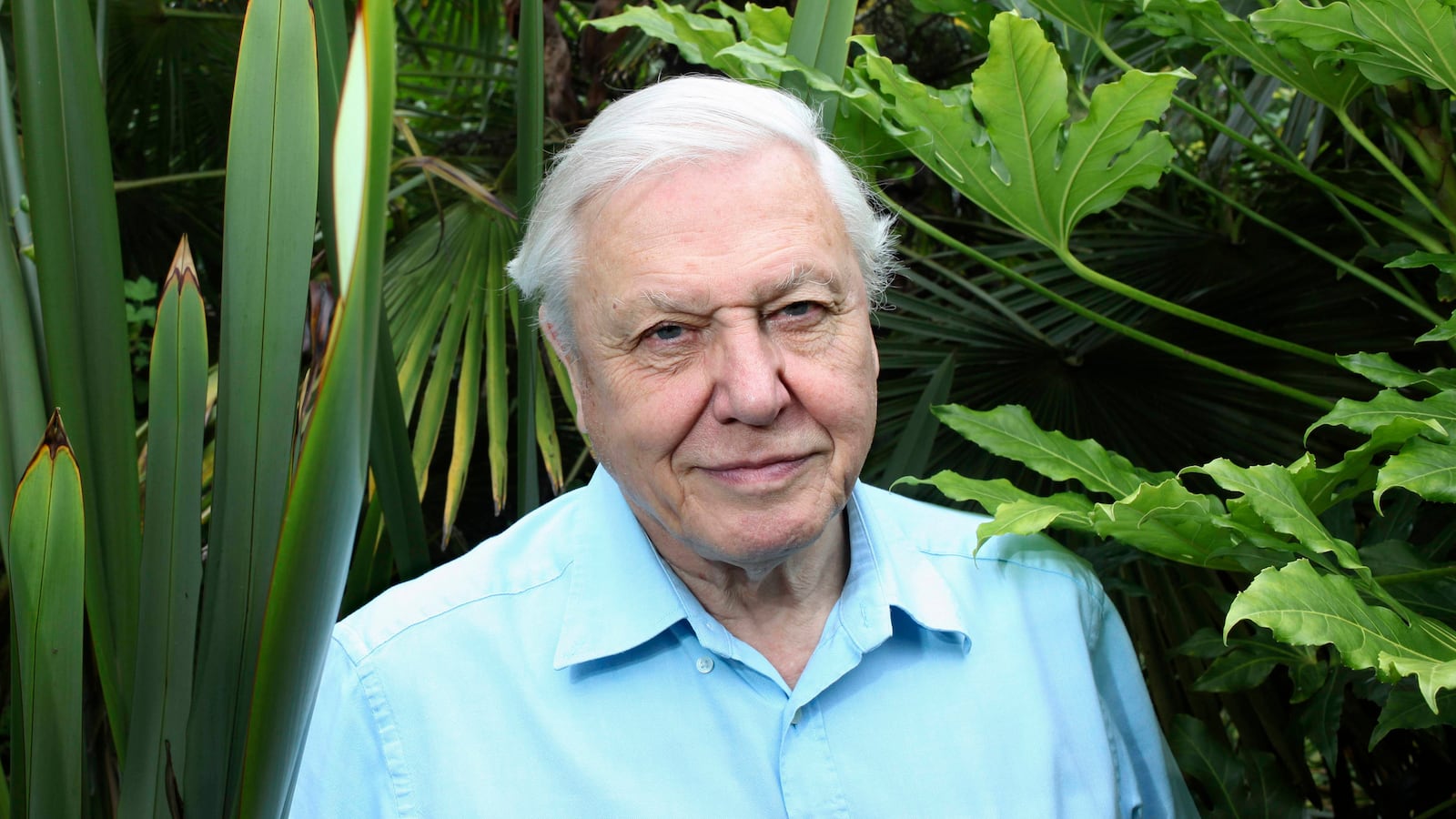 articles/2014/02/11/sir-david-attenborough-enough-with-the-creationists-and-climate-change-deniers/140210-david-attenborough-hines-tease_vq5cwn