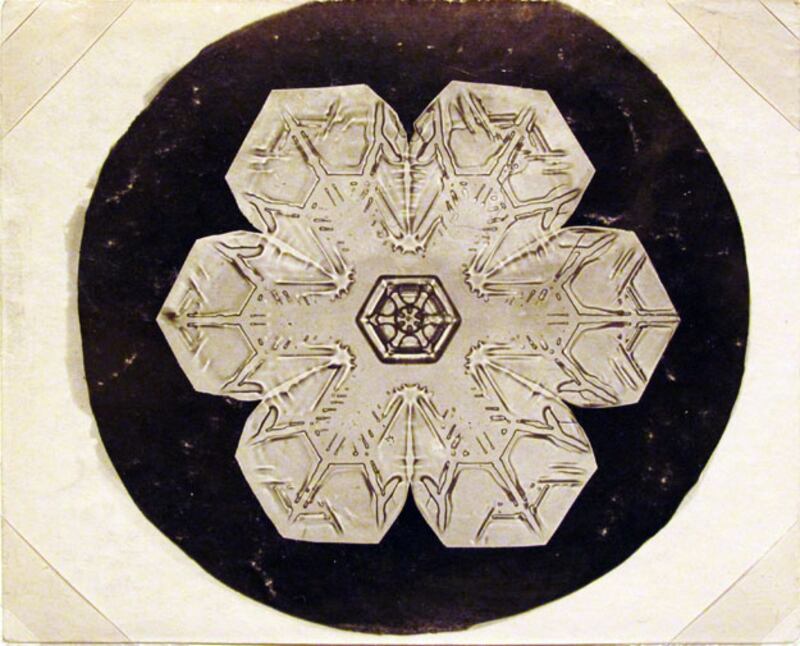 galleries/2010/01/26/the-art-of-the-snowflake/snow-crystals---3_w8fbwb
