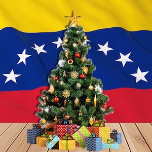 191127-Freisler-Christmas-Trees-Caracas-Price-tease_wzj4tj