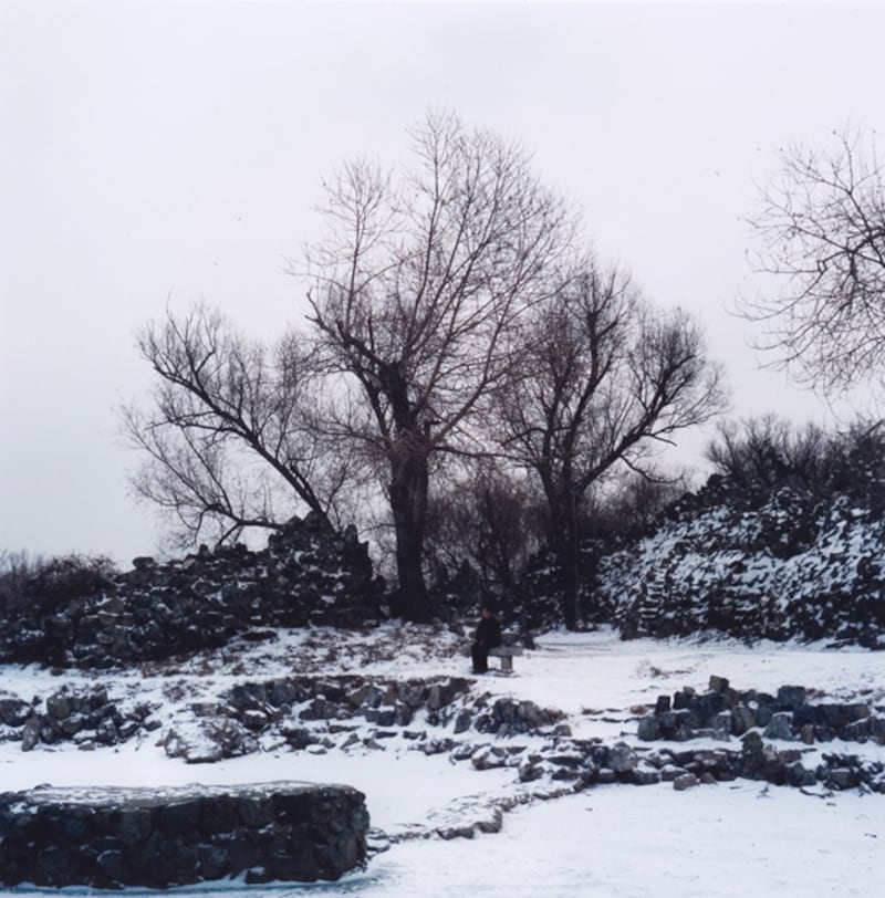 galleries/2011/01/19/hai-bo/hai-bo---winter_iqy2es