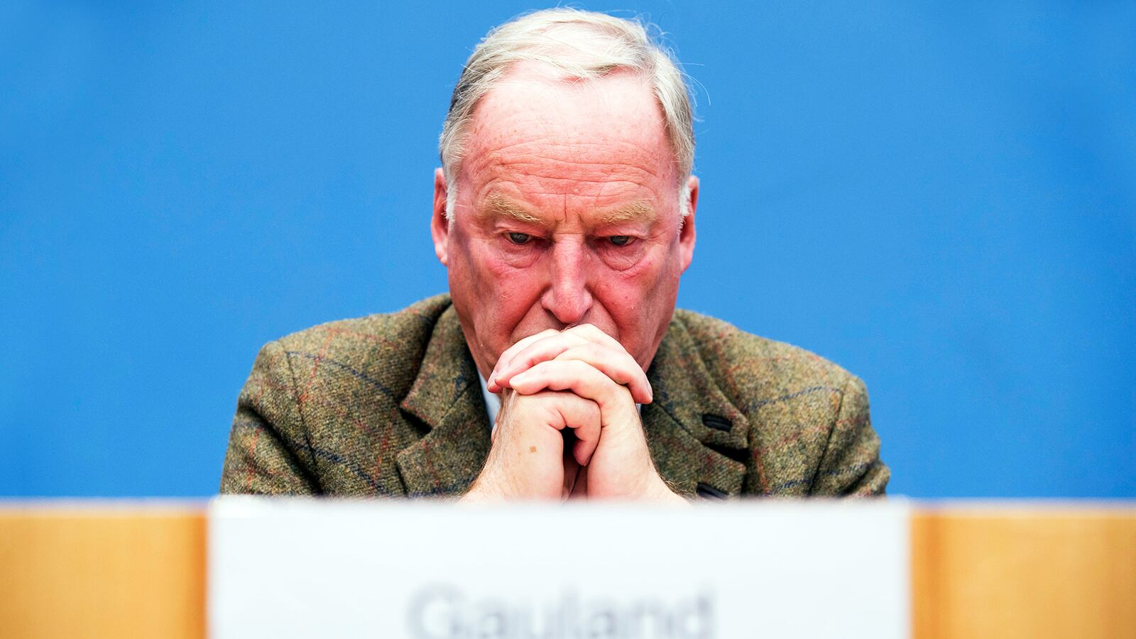 Top candidate of Alternative for Germany (AfD, Alternative fuer Deutschland) Alexander Gauland