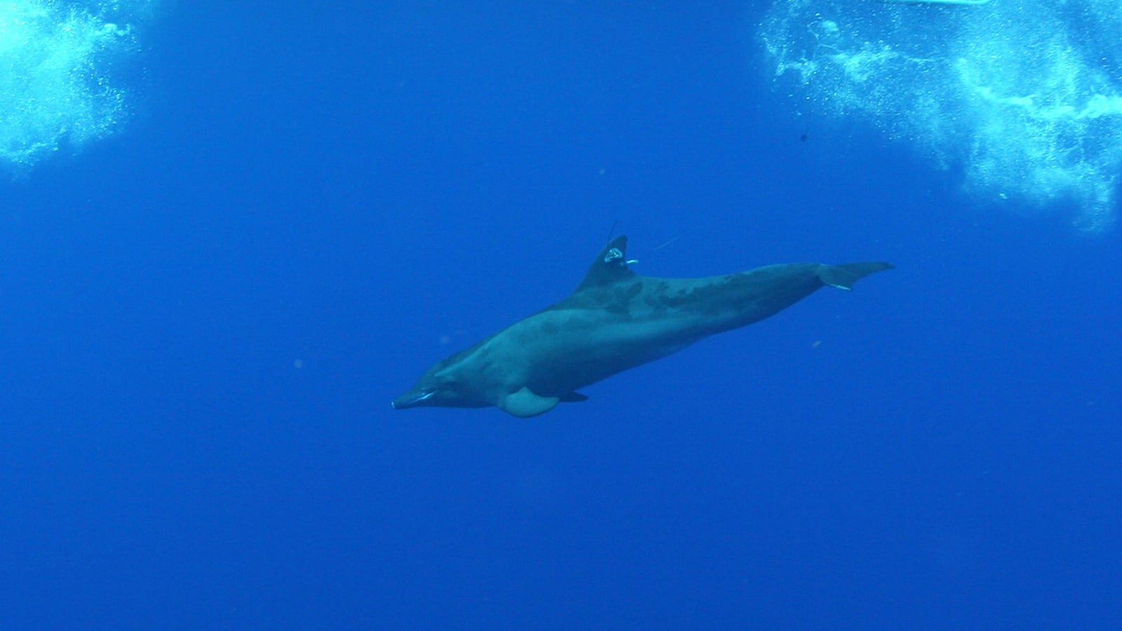 GettyImages-55390884_l7teem