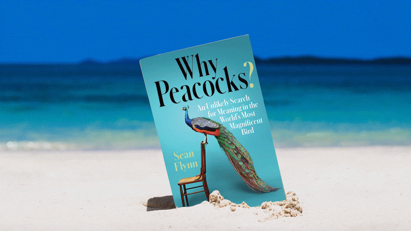 210528-mcnearney-summer-reads-tease3_fc9j1t