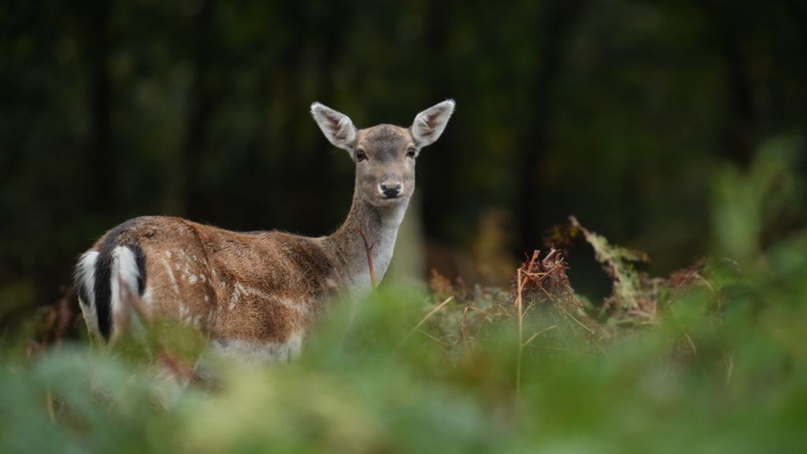 GettyImages-1347475004_1_fvkmz0