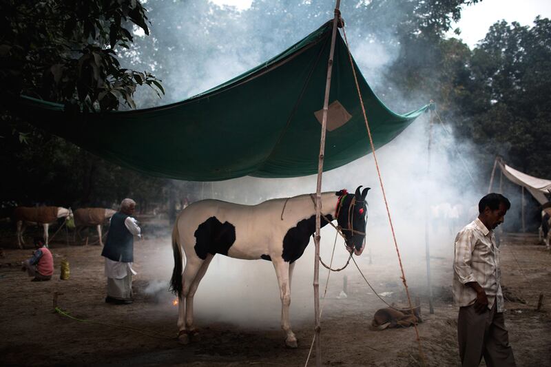 galleries/2011/10/27/photo-of-the-day/photo-of-the-day-111116-2_lcwsur