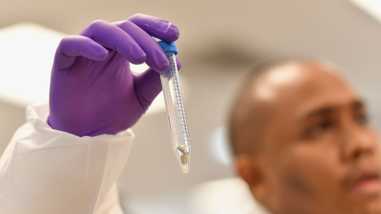 181102-DNABarbie_yiecdk