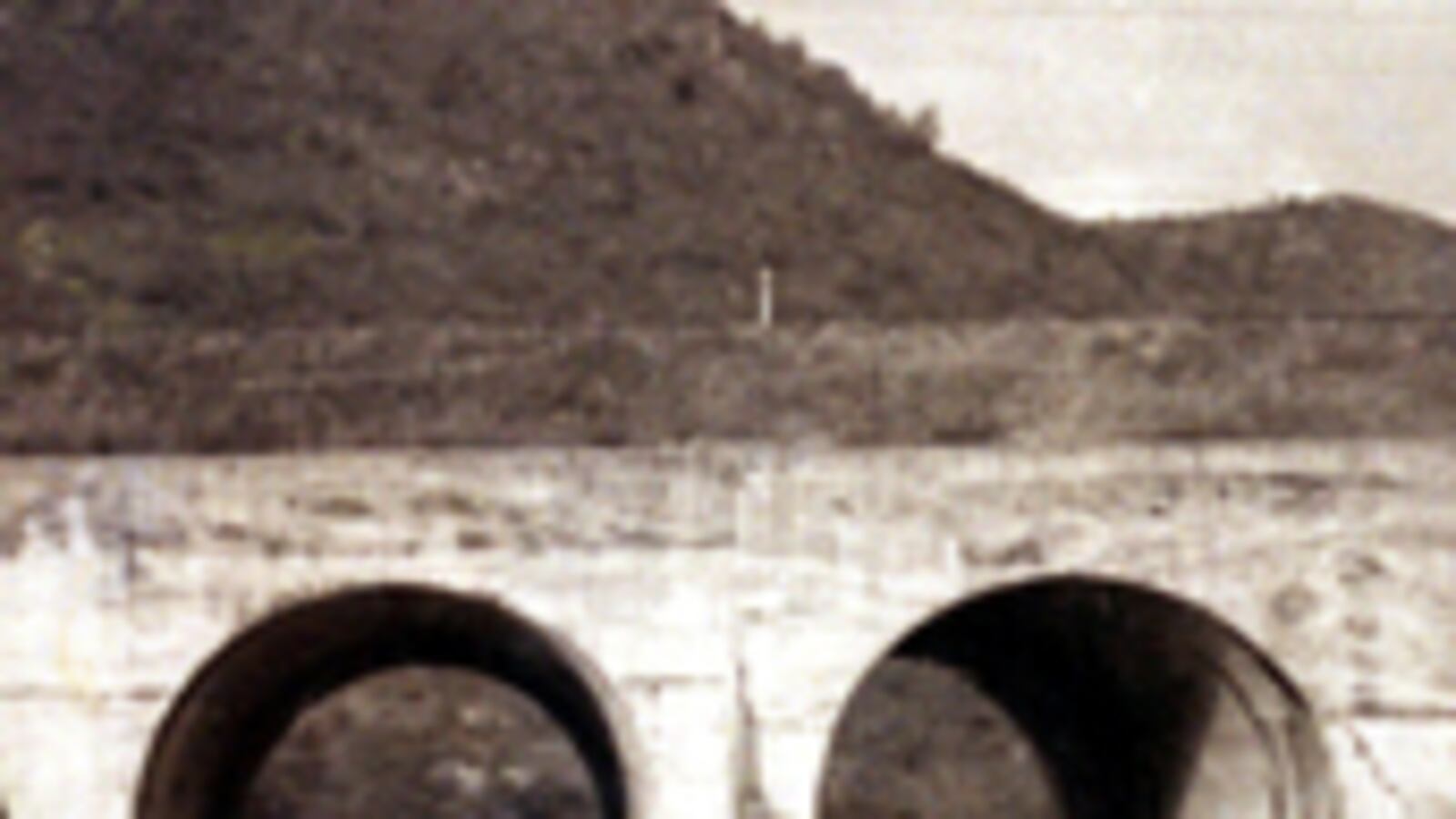 articles/2009/03/02/jayne-anne-phillips-goes-to-war/phillips-lark-and-termite-korean-war_jqstve