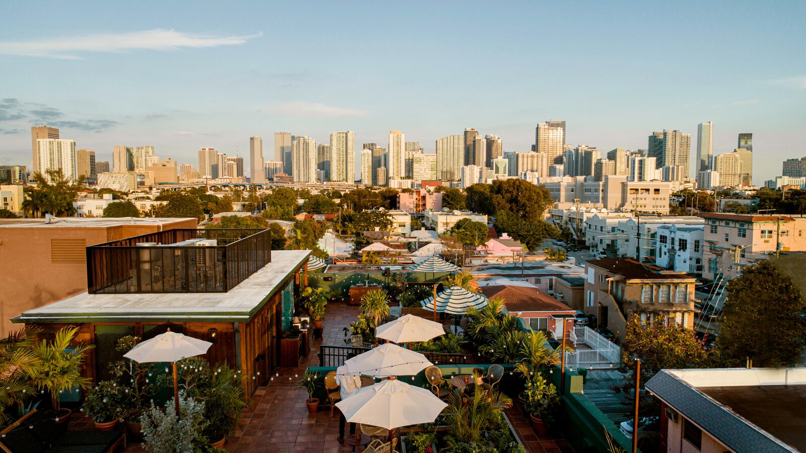 211110-littlehavana-tease_b5tbri