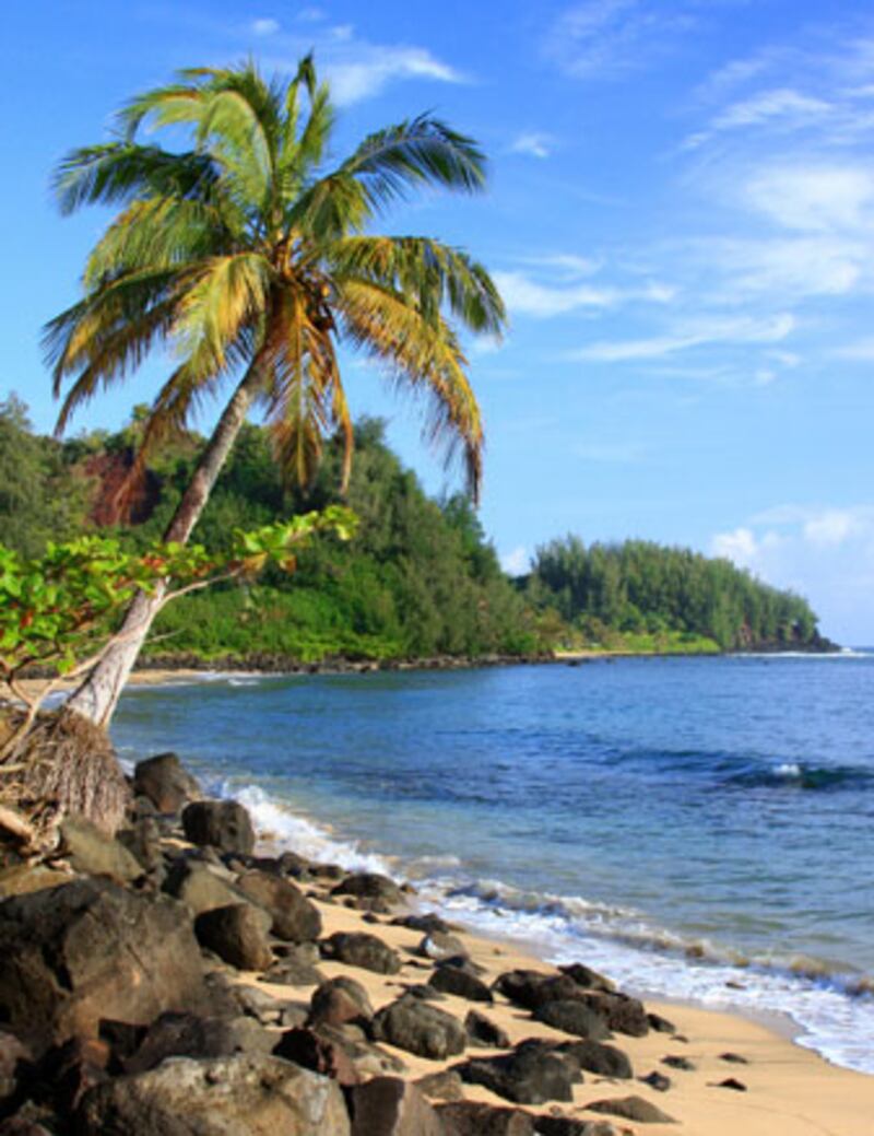 galleries/2011/04/19/pot-capitals-2011/pot-smoking-cities---hilo_puzg3r