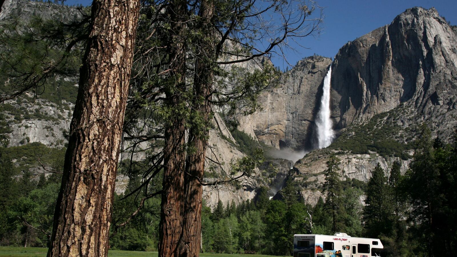 cheats/2015/08/15/fallen-tree-limb-kills-two-in-yosemite/150815-yosemite-cheat_qtw9ud