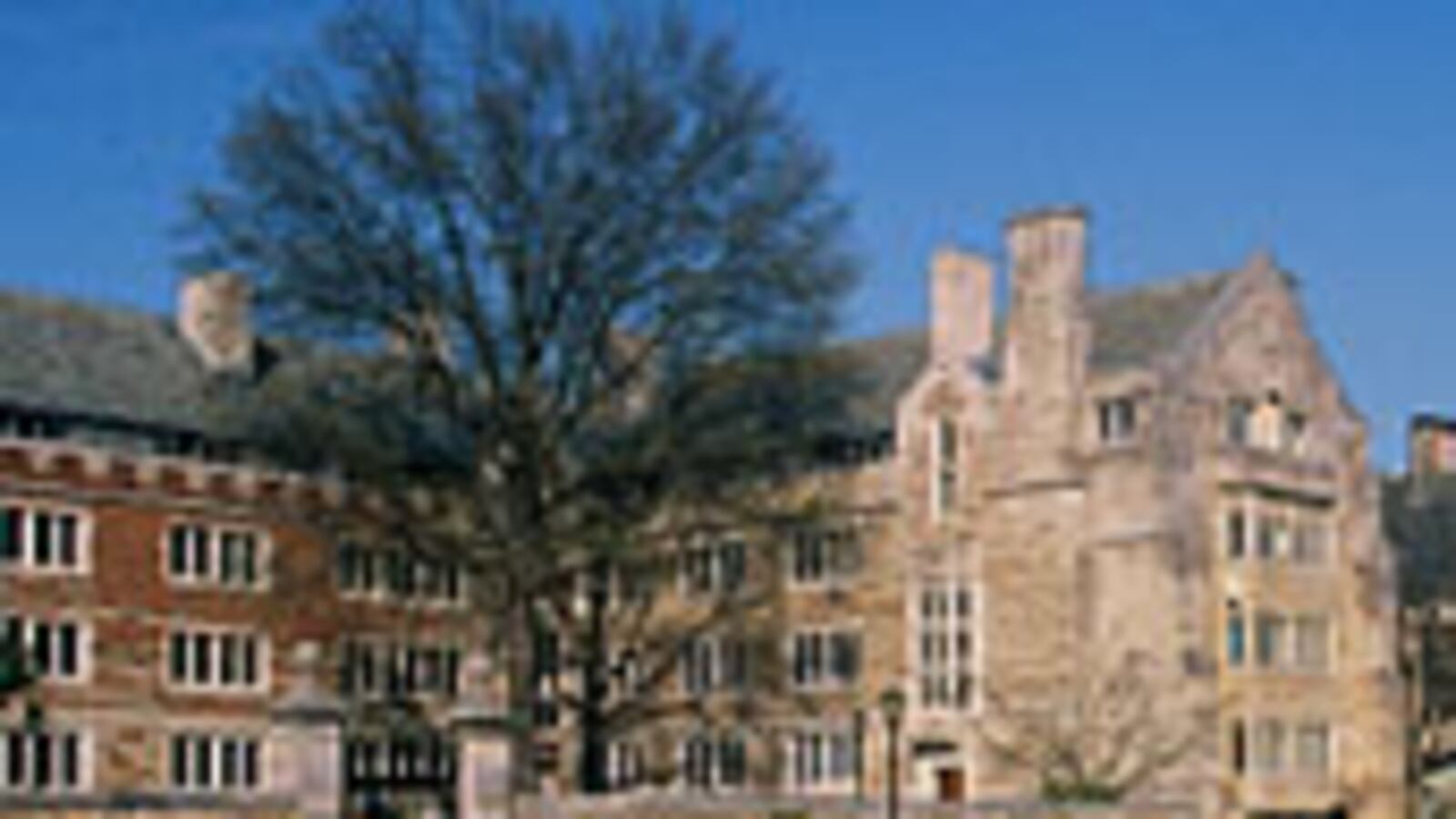cheats/2011/04/01/yale-university-students-file-title-ix-suit/kramer-yale_23858_wacoyj