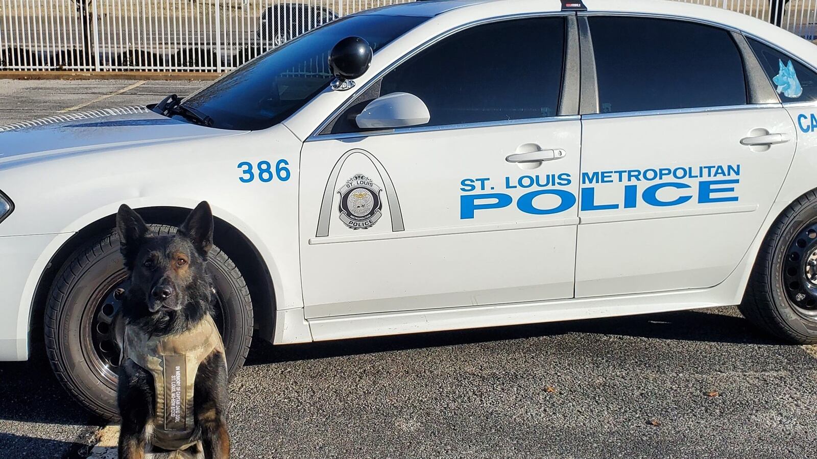 129117244_3860158130660903_5921916100024817153_o_uwuqar