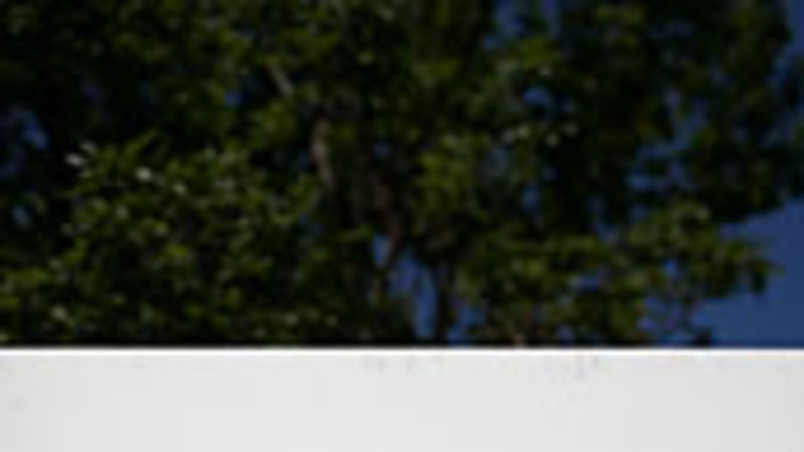 articles/2009/01/29/is-google-an-evil-empire/jarvis-kansas-google_11735_isqnei