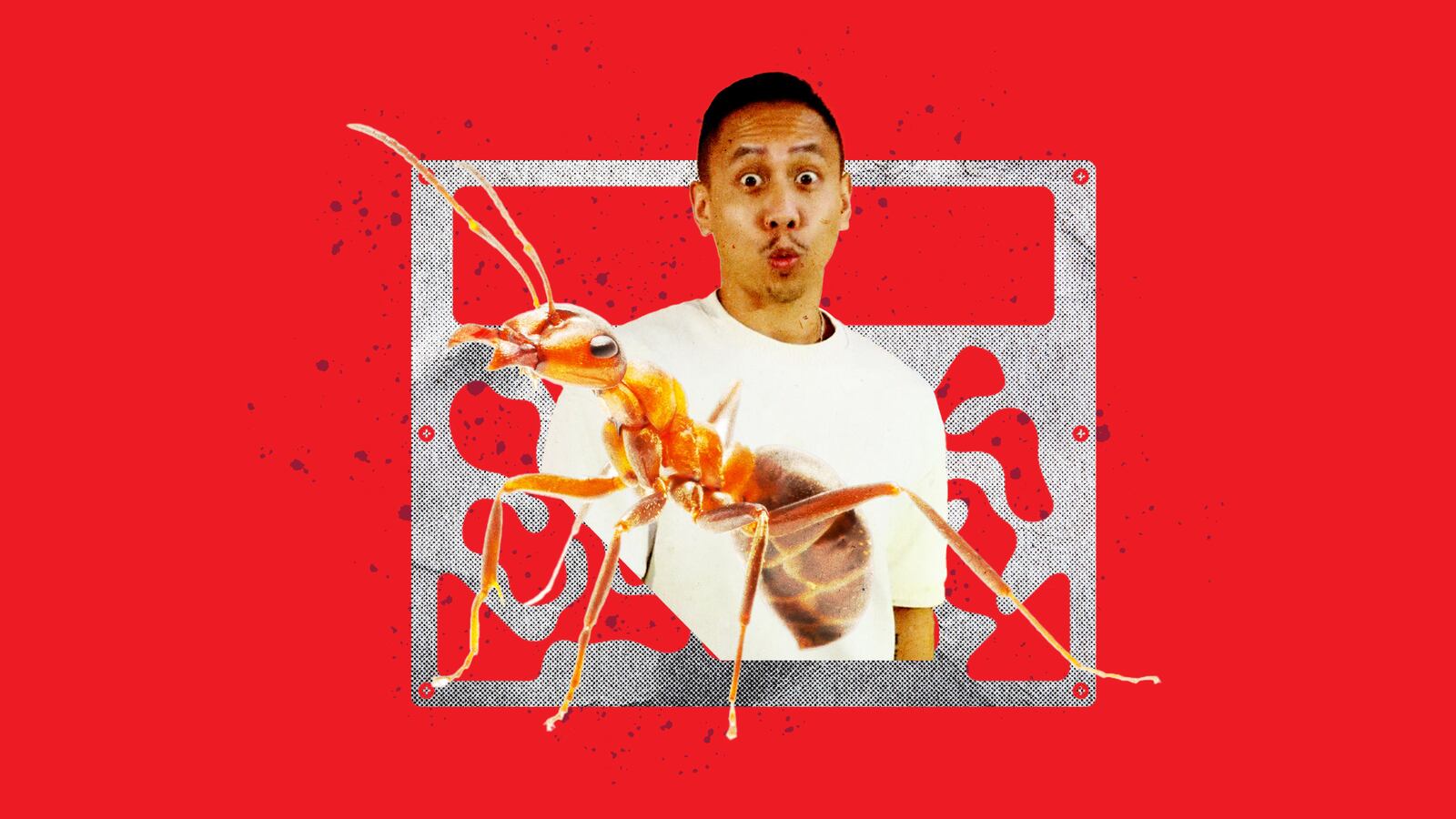 012523-antfarm-hero_iwafvl