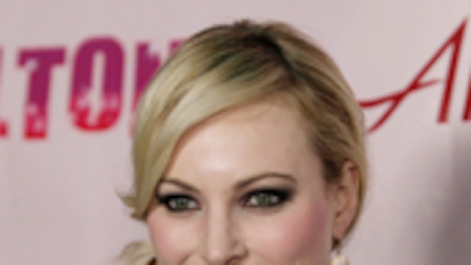 articles/2010/09/01/meghan-mccains-dirty-sexy-politics-speed-read/mccain-excerpt_123732_shdcbs