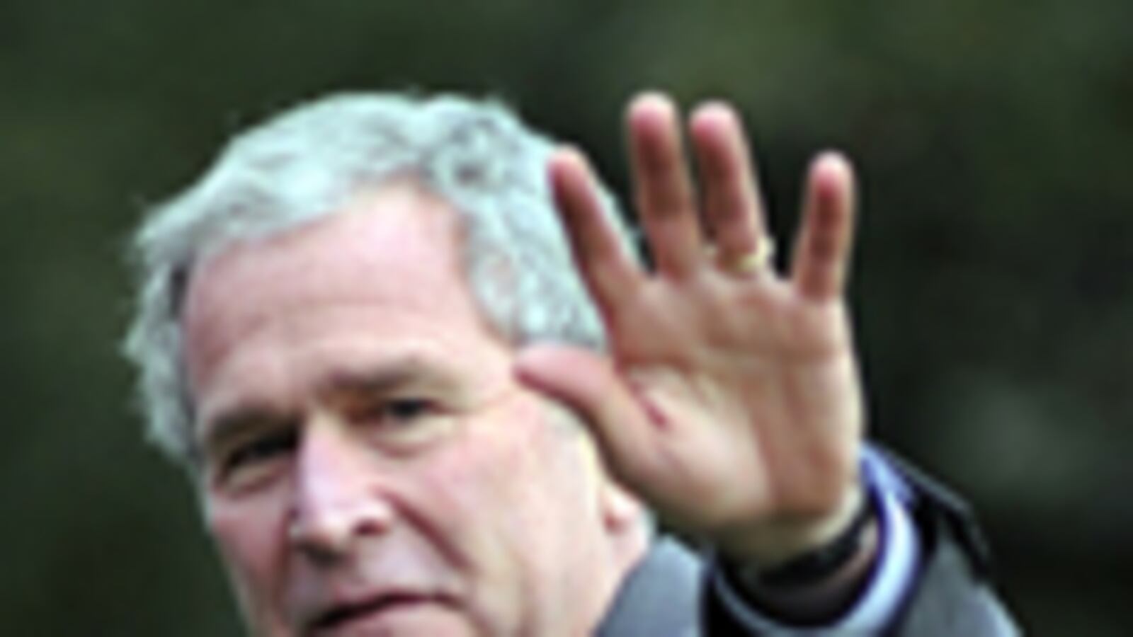 cheats/2009/05/04/bush-pulls-in-100m-for-library/george-bush-memoirs_18523_lgvh6f